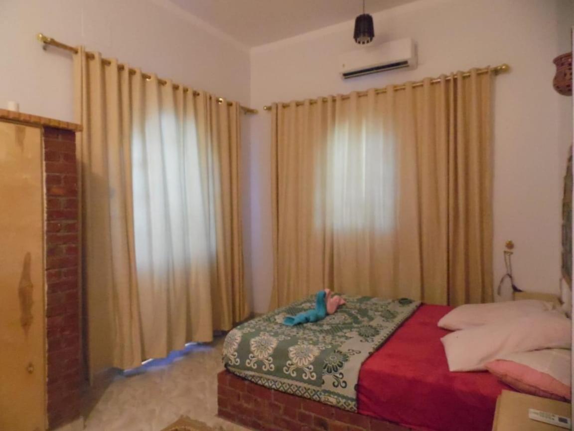 Nour House Apartment Луксор Екстериор снимка